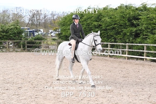 BPP_7530 - RING 1  (RIDDEN HORSES / IN HAND / VETERAN ETC)