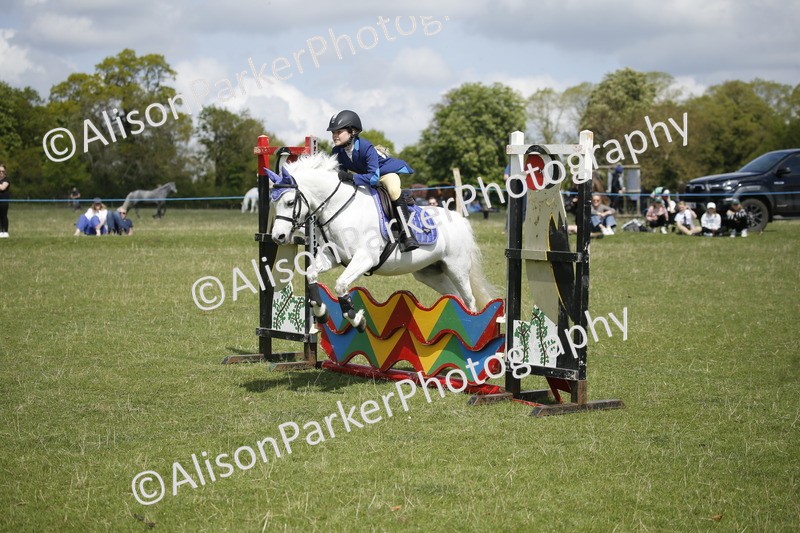20250427-3579 - Class 14 - Absolute Novice 70cm