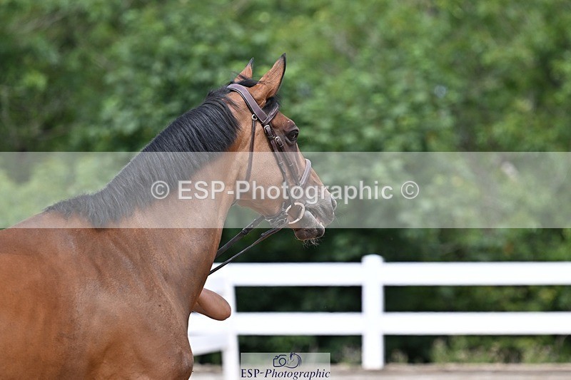 250716-125815-00253 - Trot Up 12.30 to 1.30