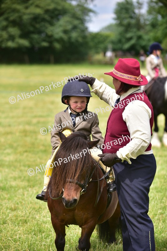 20260614-4034 - Class 16 - Handsome Gelding