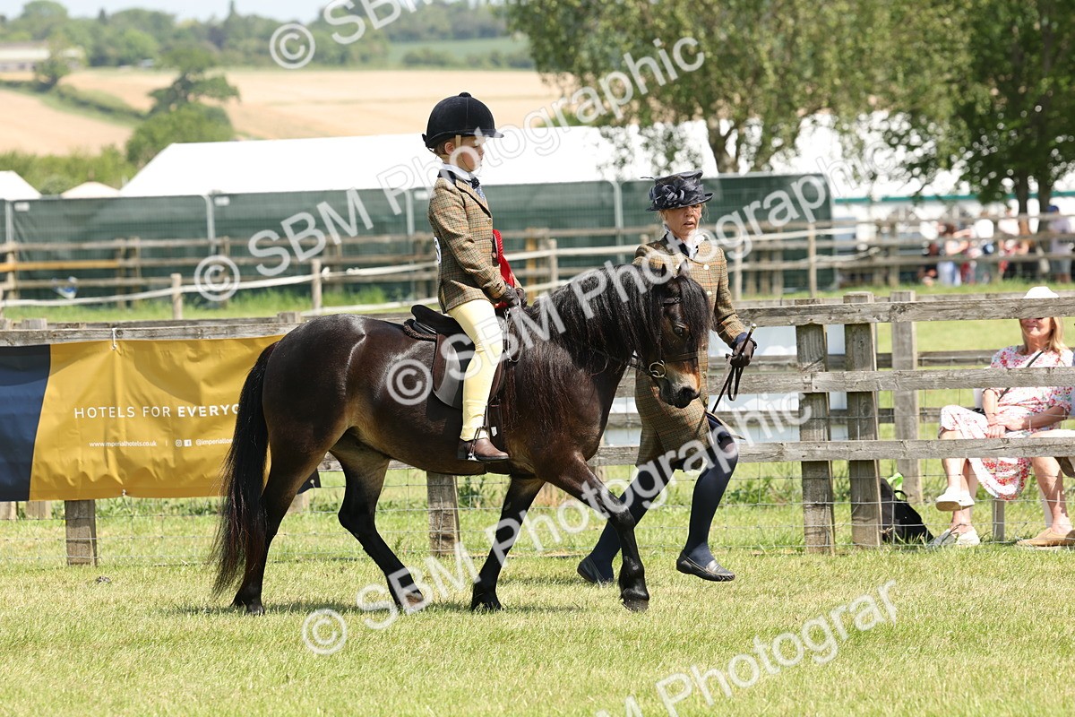 SBM_05413 - Class 24-25 - Mountain & Moorland In Hand Lead Rein and First Ridden