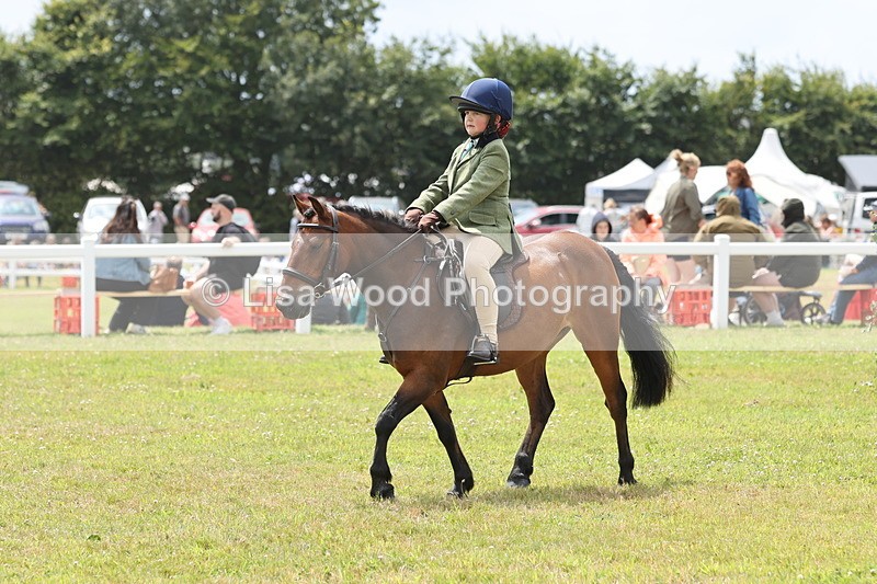 JPP_1950 - Class 18: Tiny Tots Working Hunter Pony