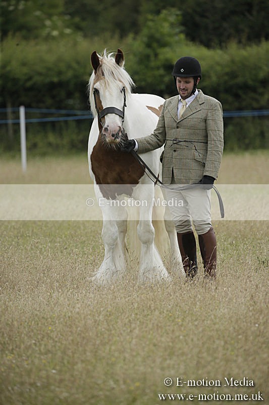 B230619-0688 - Bourne Valley Riding Club Summer Show 23/06/19