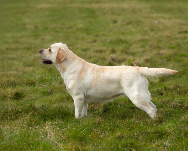 Troon Drive-72 - Troon Easter Monday Drive 2026
