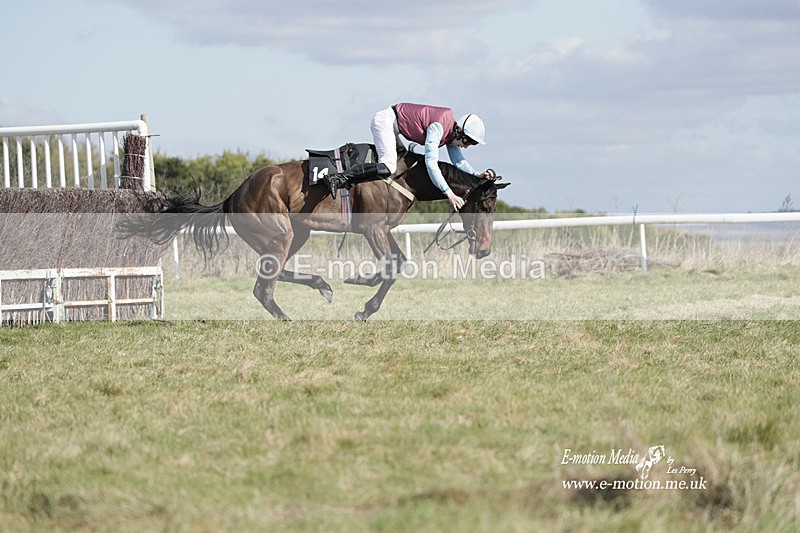 PtP 260223 475 - South & West Wilts Point-to-Point Larkhill 26/02/23