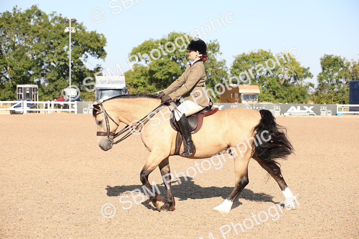 SBM_00716 - Class 14 Ridden M&M Wildcard