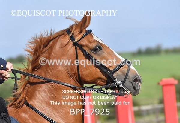 BPP_7925 - CLASS 3 Senior BritiNovice/ 90cm Open