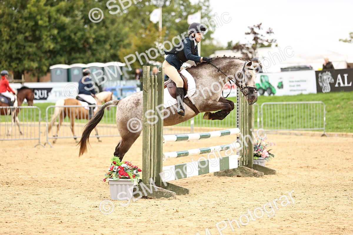 SBM_66461 - J17 - Junior Pony 80cm Championship