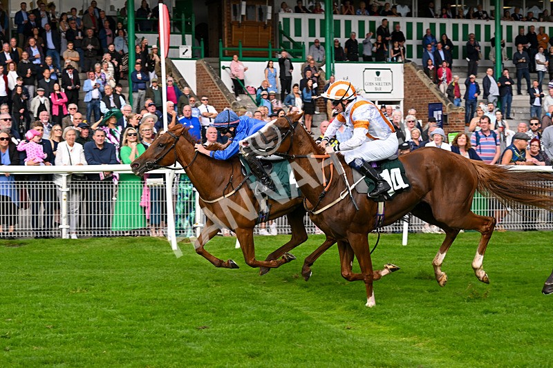 280824-Race 5-Hidden Pearl-4793 - Race 5