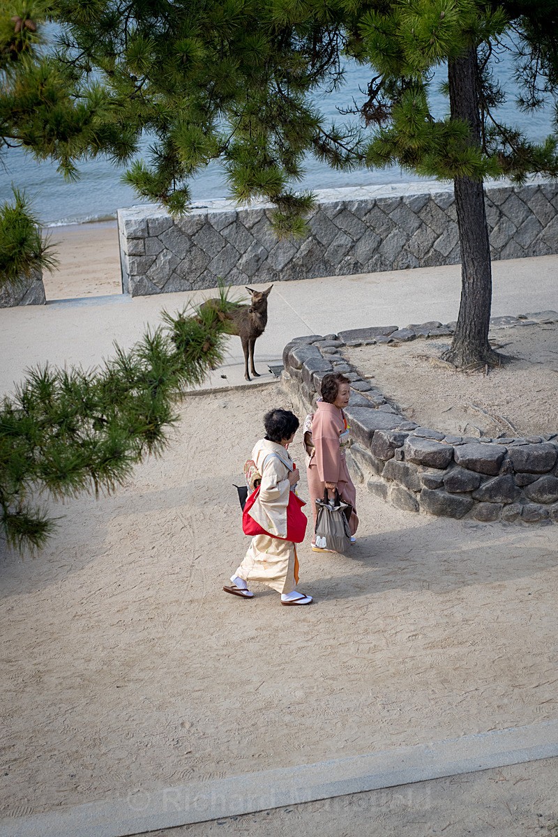  - Japan