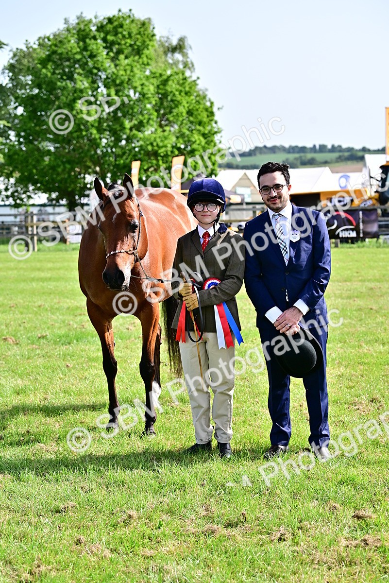 SBM_01059 - Class 46-49 - Arab and Part Bed-Anglo Arab In Hand