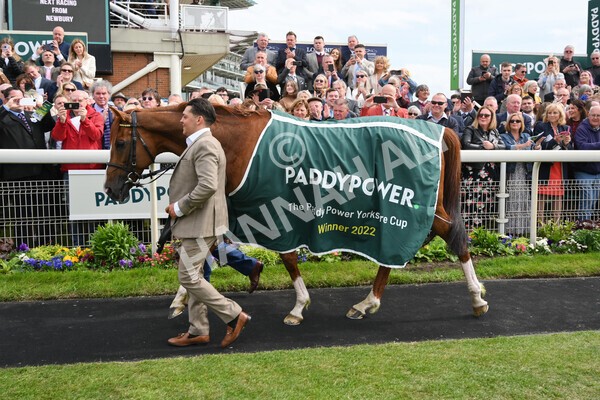yr13052022r4-123 - Race 4 3.35pm The Paddy Power Yorkshire Cup (British Champions Series Race)