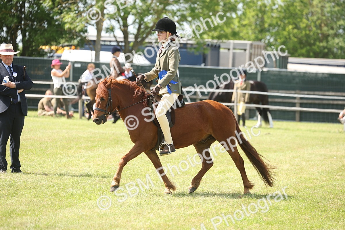 SBM_07696 - Class 26-30 - Mountain and Moorland Ridden