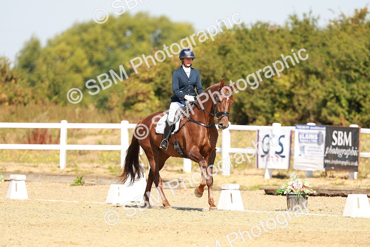 SBM_017519 - Class 9 - N5 Bronze 10.33.11.36