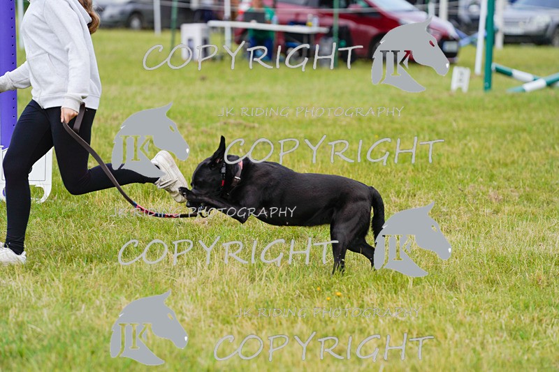 _DSC4866 - CLASS 7 HORSE & HOUND RING 2