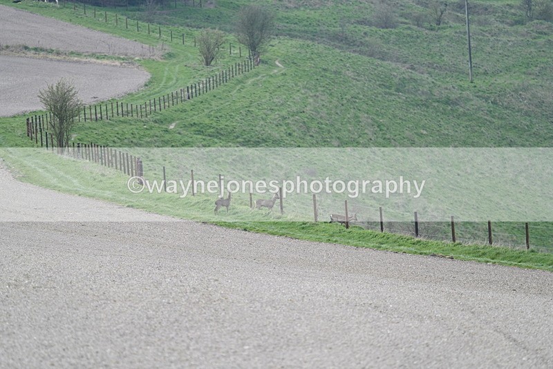 WJ7_7977 - Line 2 A camera