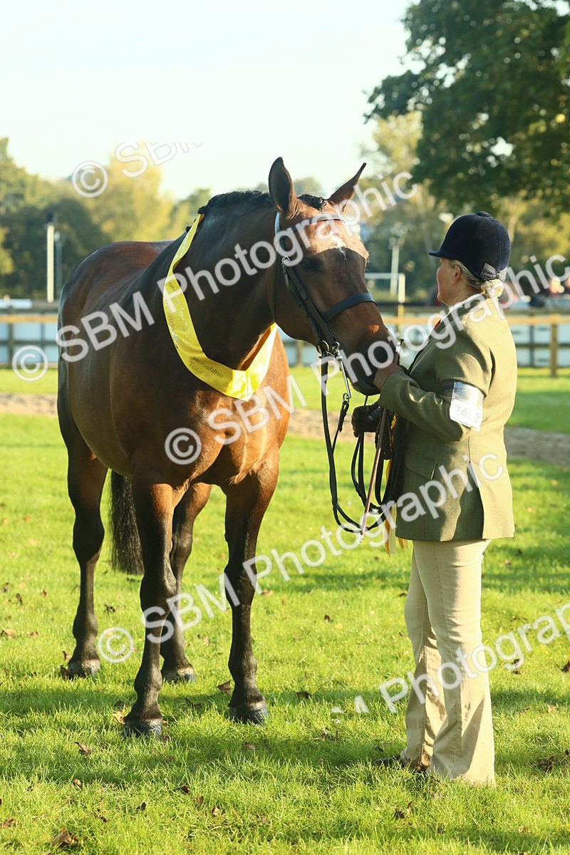 SBM_56759 - S36 - Starters Best Turnout