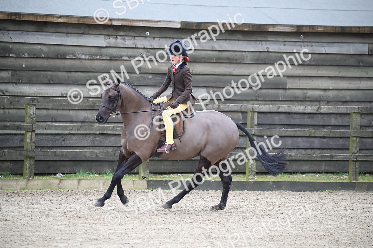 SBM_004615 - Class 5-9 - NPS In Hand-Show Hunter-Intermediate Ridden Inc Ridden Championship