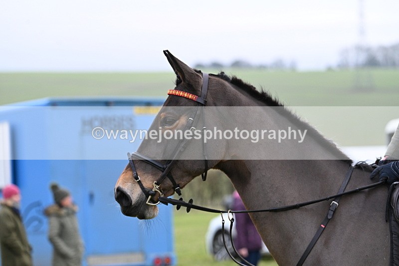 WJ7_6443 - Meet 12.30