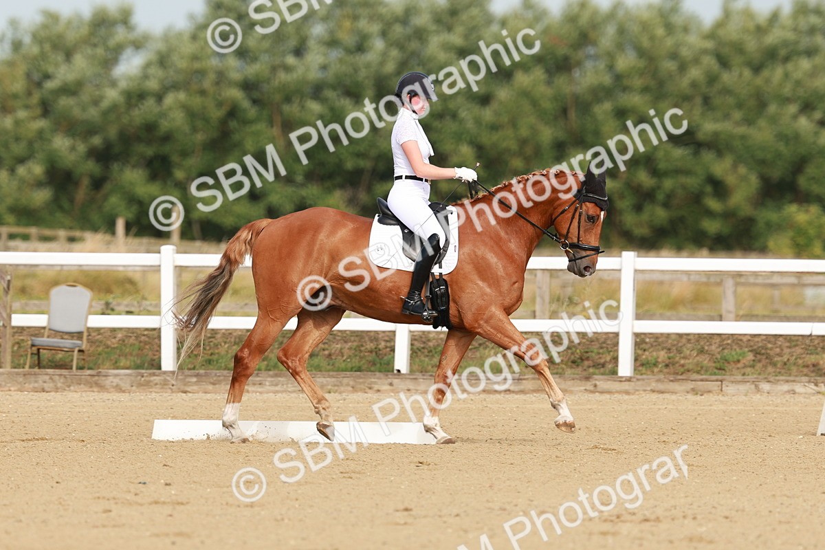 SBM_021202 - Class 13 - N5