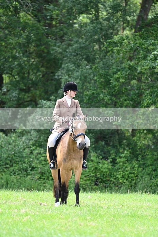 WJ7_2715 - Class 12A Coloured Class