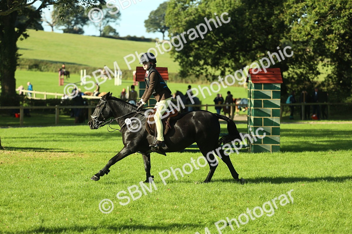 SBM_36323 - S29 - Novice & Newcomers Working Hunter Pony