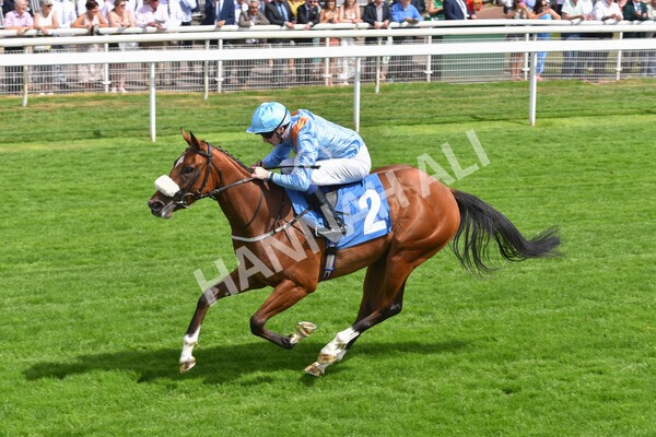 yr08072022r3-25 - Race 3 3.15pm William Hill Play Responsibly Irish EBF Novice Fillies Stakes