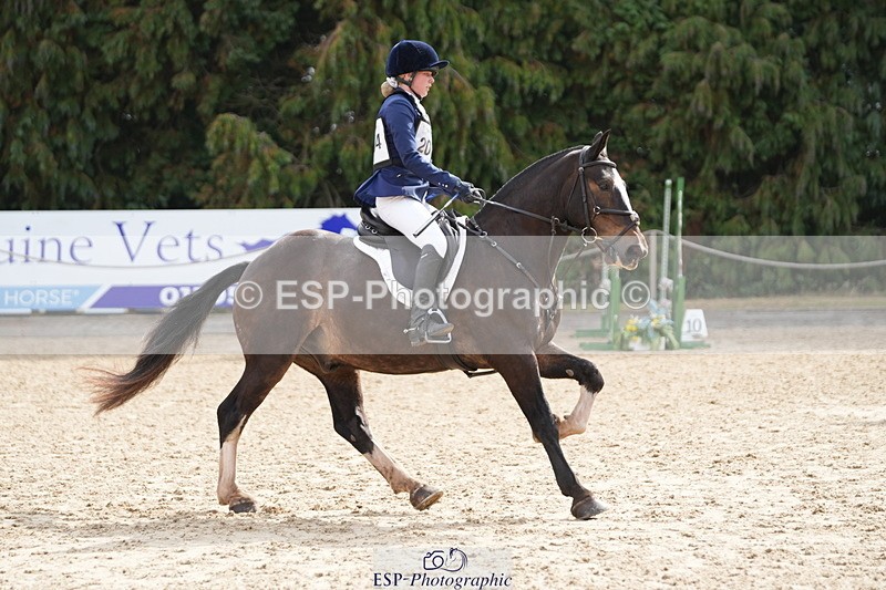 250824A-105119-34932 - 2004-Anaya.Stoneman-Anablaha.Blue