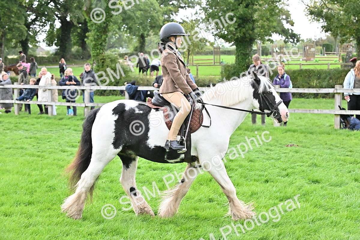 SBM_42924 - S12 - Family Horse & Pony