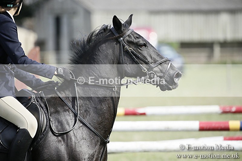 BVR090918 737 - BVRC Dressage and Show Jumping 09/09/18
