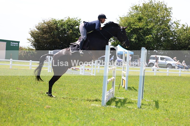 3E7A1217 - Class 12: Senior Foxhunter/1.20 open