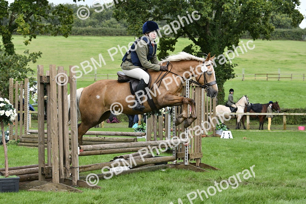 SBM_42238 - S32 - Mountain & Moorland Working Hunter Pony