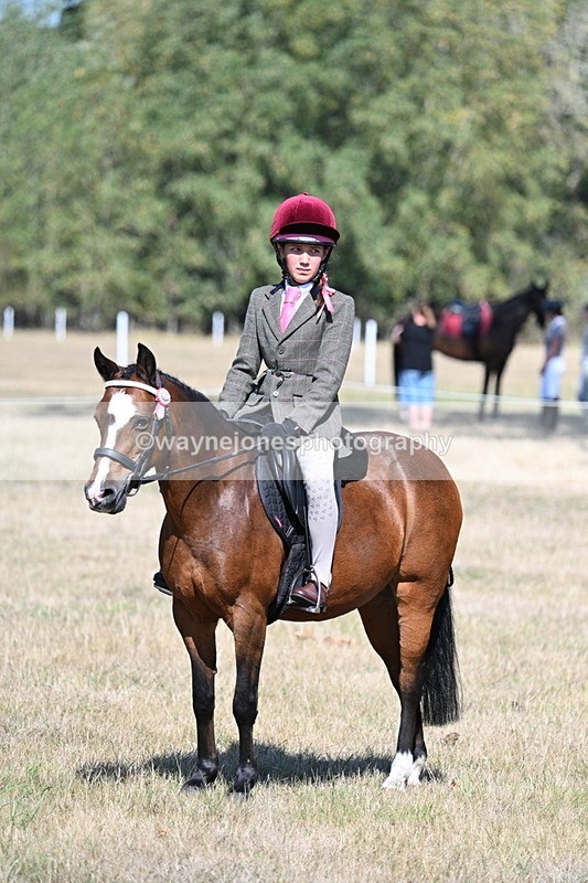 WJ7_4112 - Class 9 Mountain & Moorland Ridden
