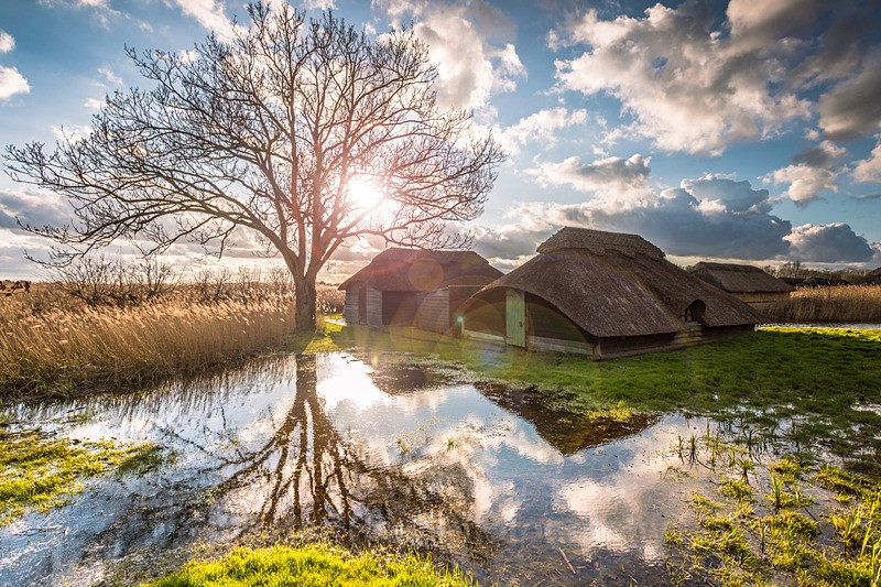 Winter Sun