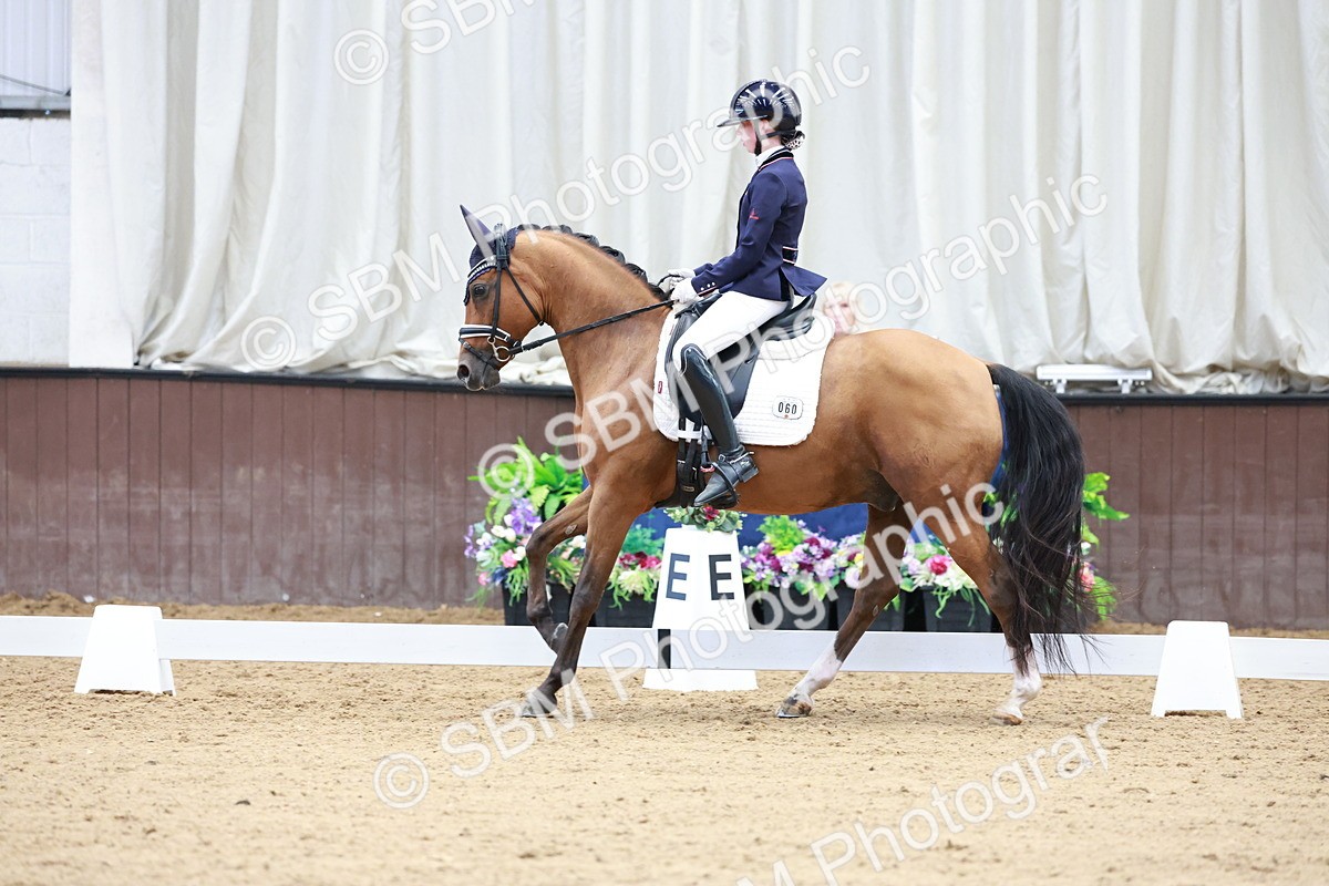 SBM_017281 - Class15 - FEI Pony