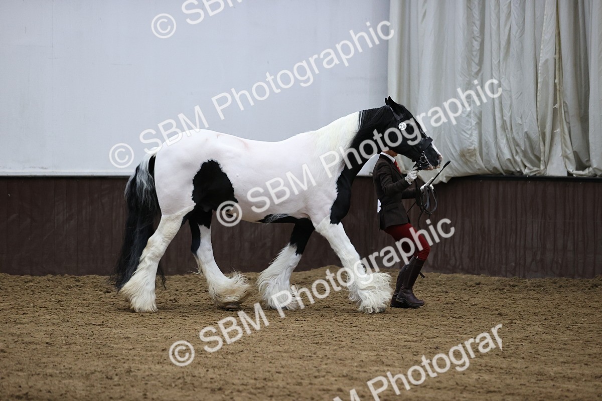 SBM_5628 - Class 40 - RESS In Hand Qualifier