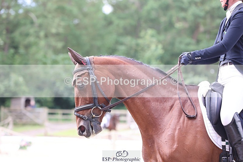 240523-121224-03739 - 232-MAYFAIR_TN-Susie_Berry