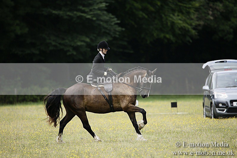 BVR160717-1586 - Side Saddle Classes 16/07/17