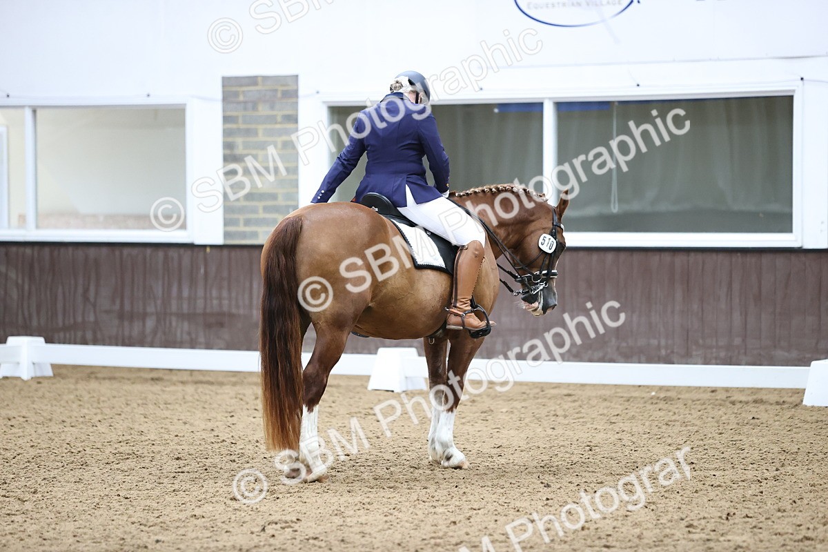 SBM_012650 - class 7 - Elementary FSM