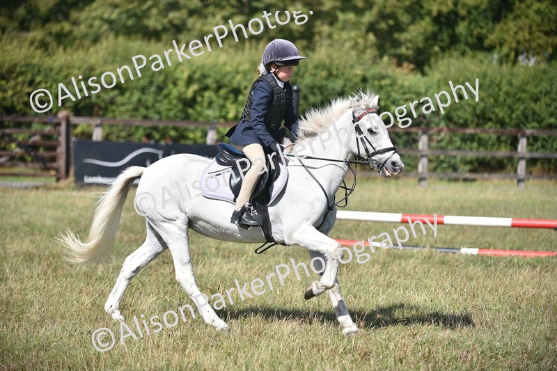 20260906-1719 - Class 9 - Absolute Novice Jumping 45cm
