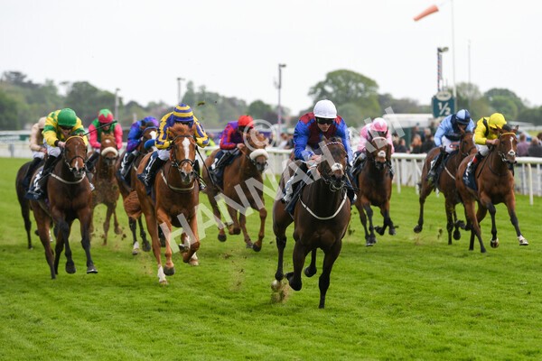 yr13052022r7-31 - Race 7 5.15pm Longines Irish Champions Weekend Stakes