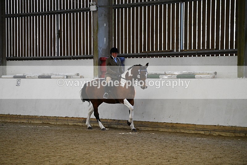 WJ5_5986 - Class 9 Ridden Veteran