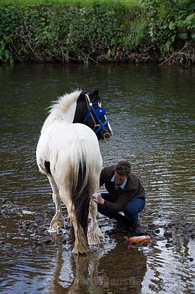  - Appleby Horse Fair
