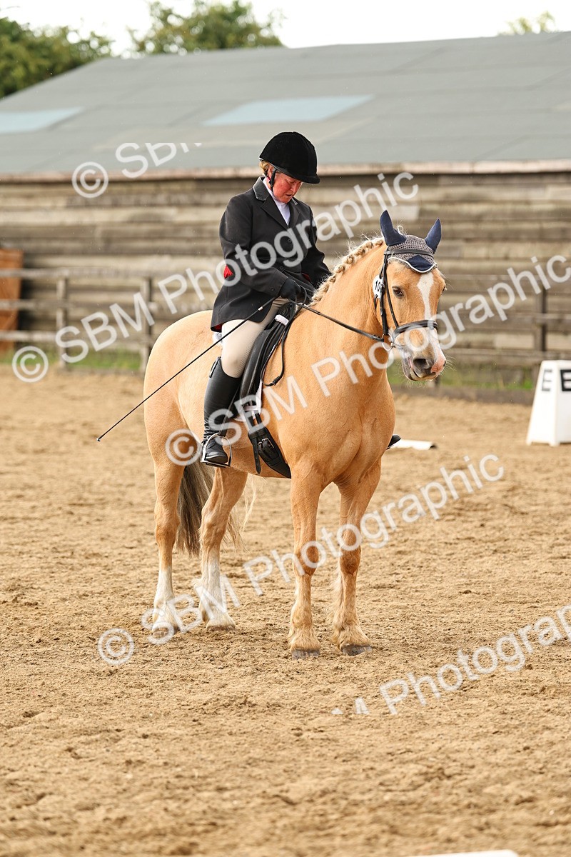 SBM_003278 - Class 7 - Novice 2