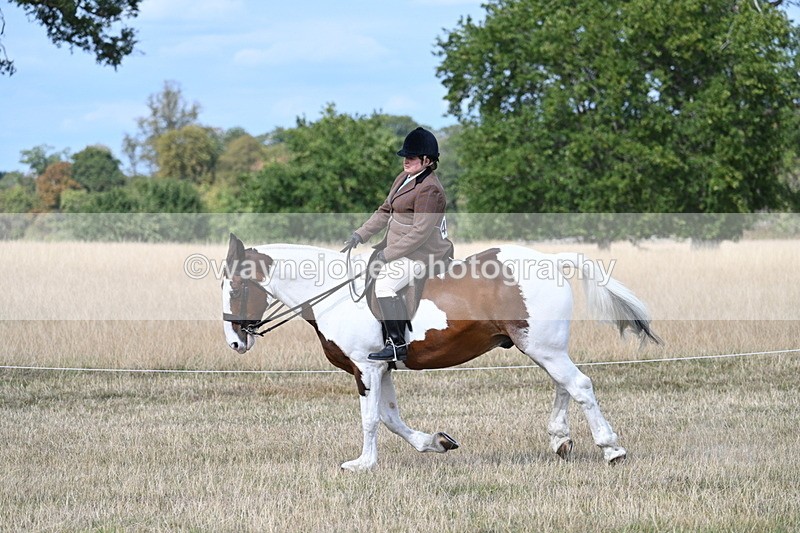 WJ7_7047 - Class 14 Ridden Coloured