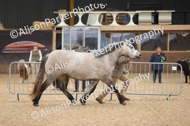 20251109-0885 - Class 26 - 2 and 4 Year Olds