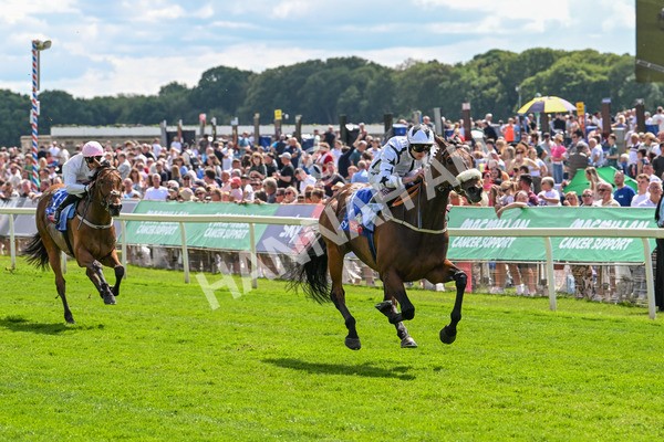 140625-Race 3-Al Qareem-2483 - Race 3 3.00pm Sky Bet Race To The Ebor Grand Cup Stakes