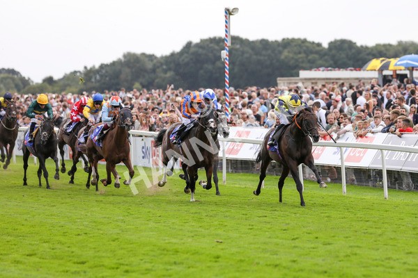 240824-Race 2-Tabletalk-8935 - Race 2 2.25pm Sky Bet Melrose Handicap