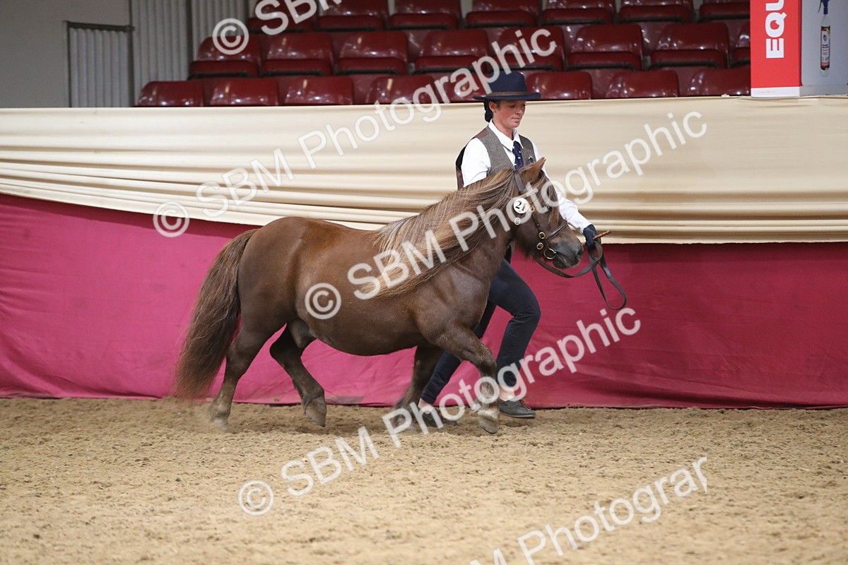 SBM_05300 - Class 8R - Regional IH Veteran