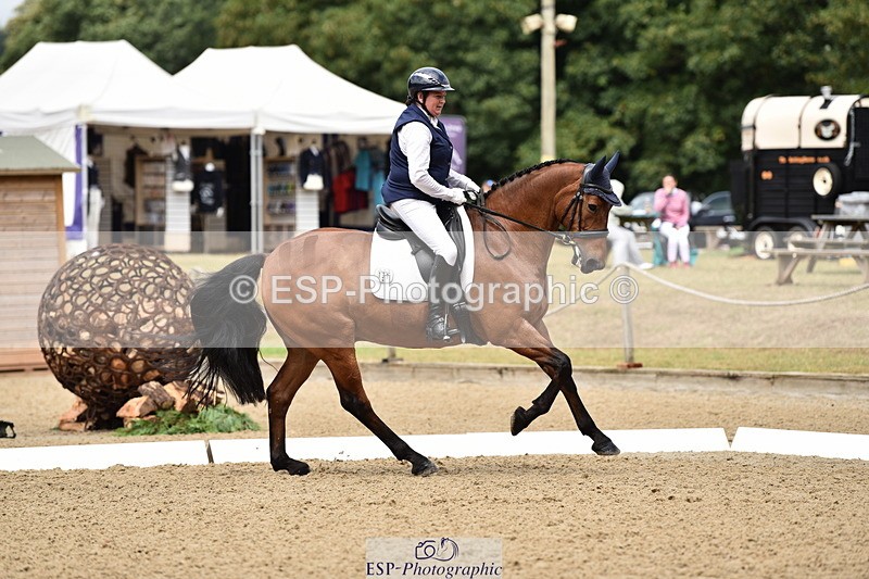 140110A-004100-10696 - 137-Debbie.Dyke-The.Trojan